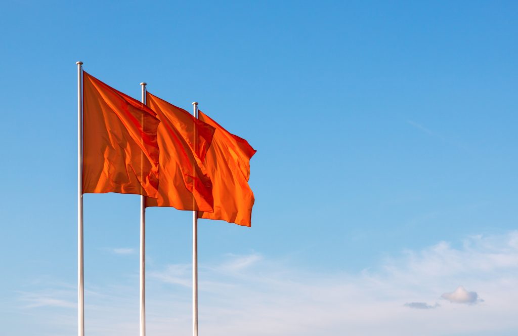 Three IT Red Flags in a Growing Business